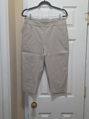 Kim Rogers Light Gray Tummy Control Pants
